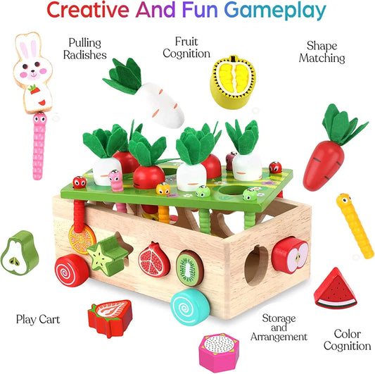 Montessori Wooden Fruit & Carrot Harvest Toy | Shape Sorting & Fine Motor Learning Game for Toddlers