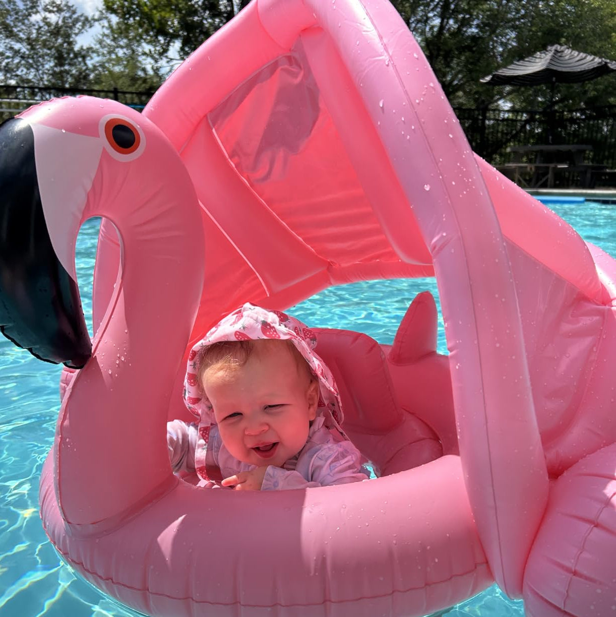 Best Seller Flamingo Baby Swim Float with UPF 50+ Sun Canopy