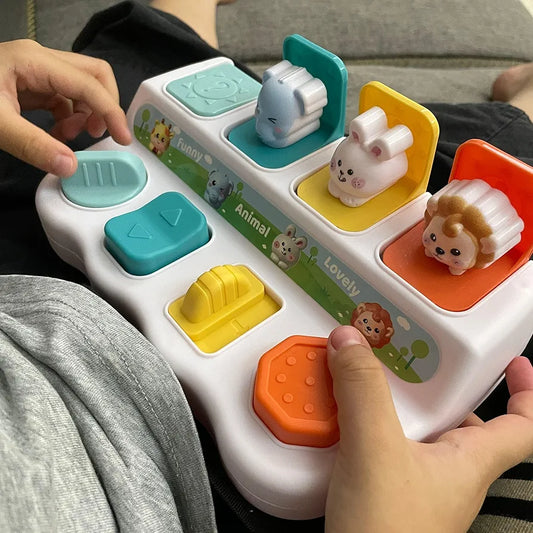 Montessori Pop-Up Cause & Effect Toy for Toddlers 1+ Color Sorting & Fine Motor Learning Toy