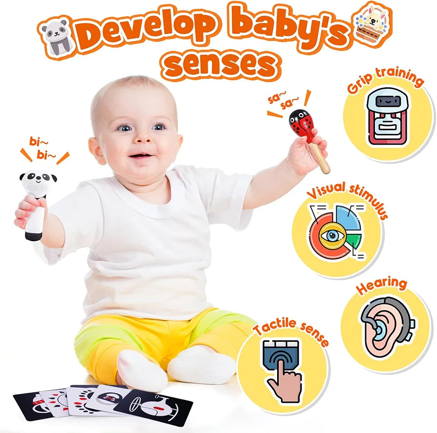 Baby Sensory Box set