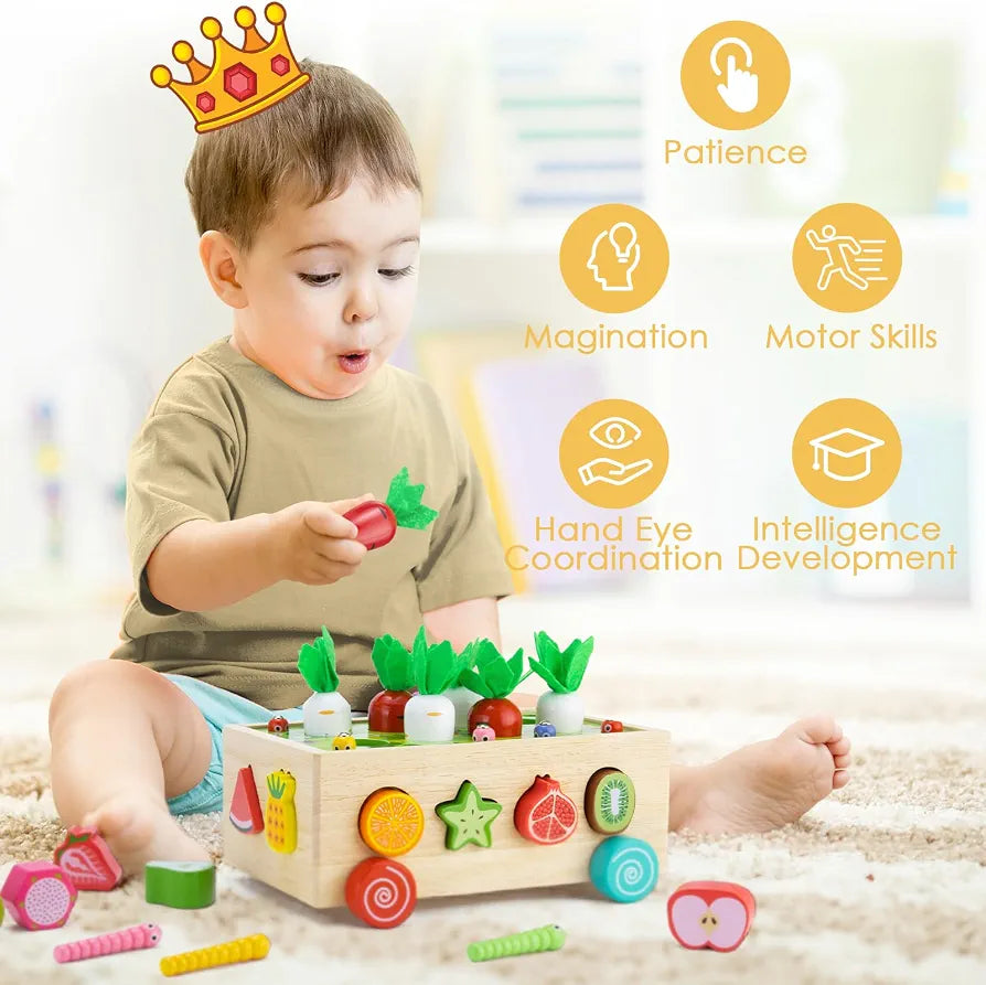 Montessori Wooden Fruit & Carrot Harvest Toy | Shape Sorting & Fine Motor Learning Game for Toddlers