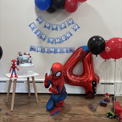 Spiderman Costume