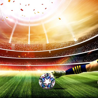 FIFA Champions League Soccer Ball – Official Size 5