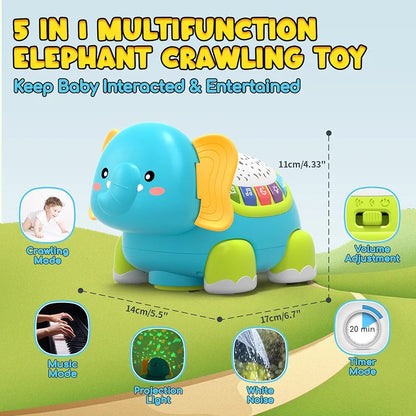 Baby Musical Car Toy