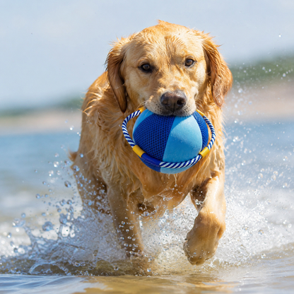 Floating Fetch Ball for Dogs