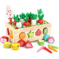 Montessori Wooden Fruit & Carrot Harvest Toy | Shape Sorting & Fine Motor Learning Game for Toddlers